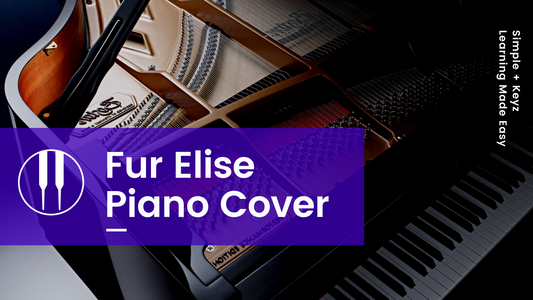 Fur Elise Piano Cover